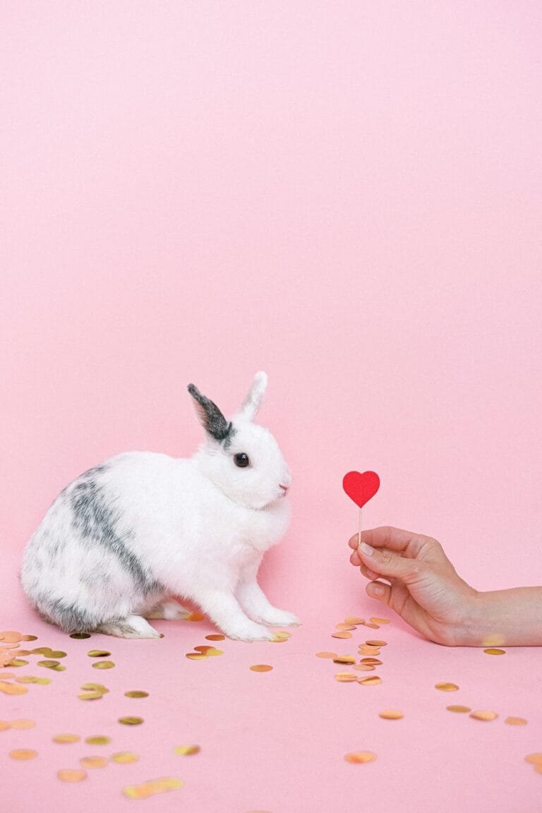 Cosmétique cruelty-free